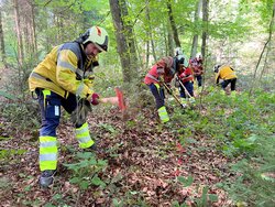 feuerregensdorf